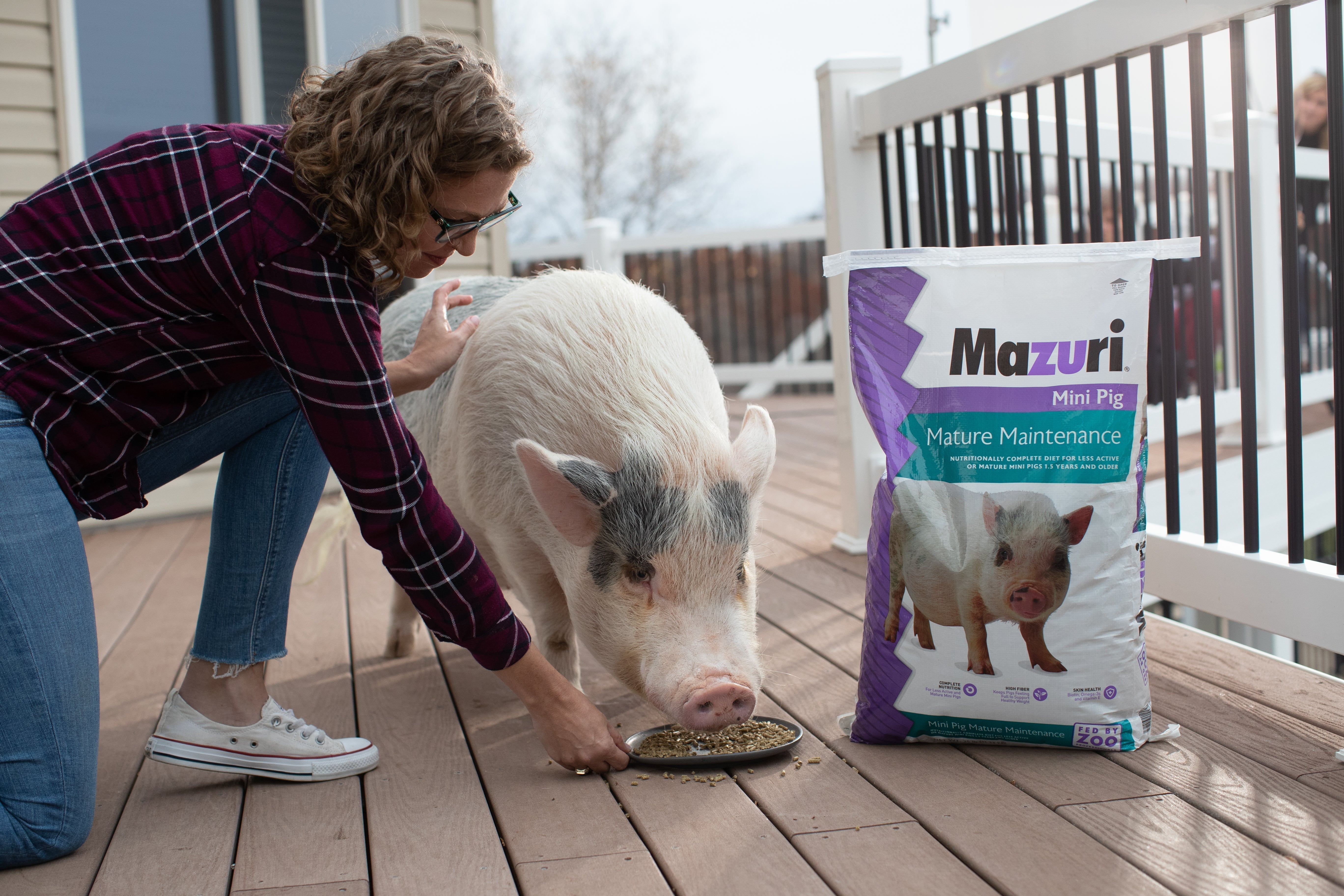 Five Signs Your Mini Pig’s Diet Needs an Upgrade
– Mazuri Five Signs Your Mini Pig’s Diet Needs an Upgrade
– Mazuri