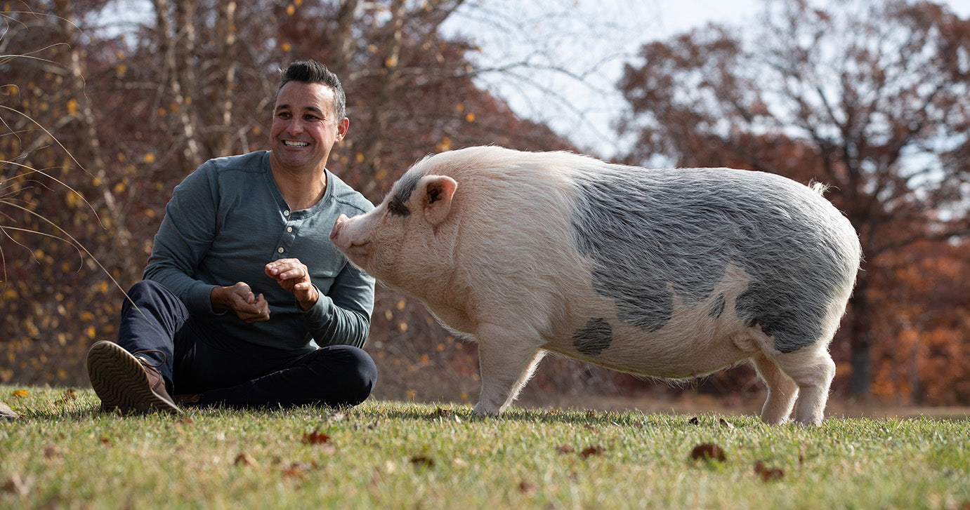 How to Choose the Right Food for Your Mini Pig How to Choose the Right Food for Your Mini Pig