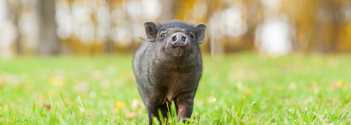 featured-image