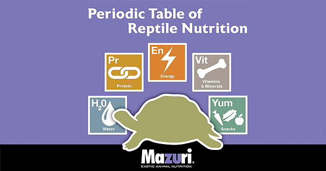 Mazuri hot sale reptile food
