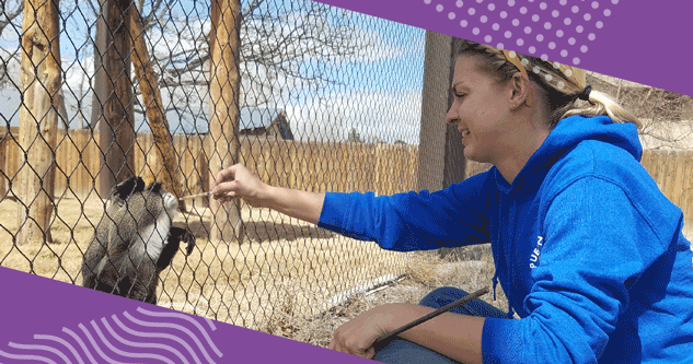 A Day in the Life of a Zookeeper
– Mazuri A Day in the Life of a Zookeeper
– Mazuri
