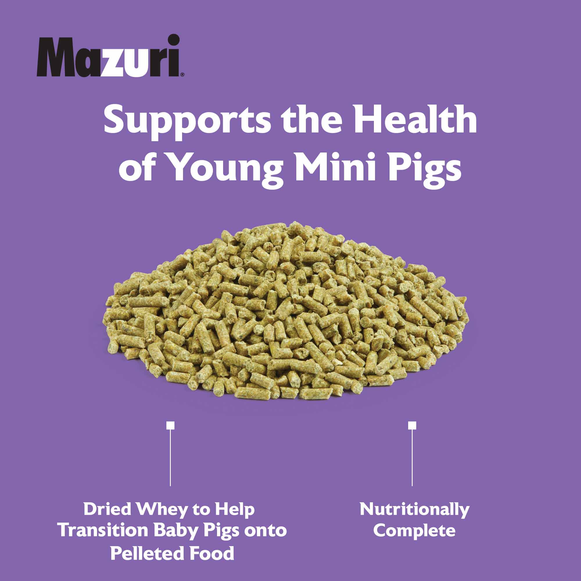 Mini Pig Youth Diet feed in a pile on a purple background