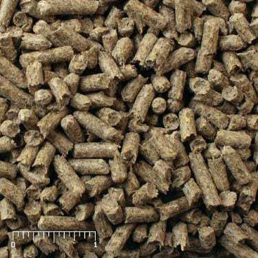 Ratite Diet brown pellets