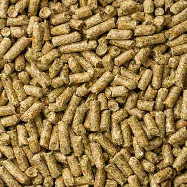 Mazuri Timothy-Based Guinea Pig brown pellets