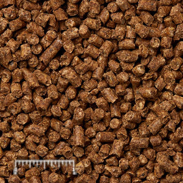 Alpaca Complete Life brown pellets