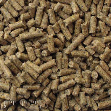 Ratite Breeder brown pellets