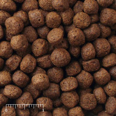 Exotic Canine brown extruded particles
