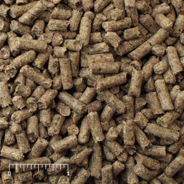 Mini Pig Active Adult brown pellets