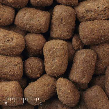 Wild Carnivore® Bear Diet brown extruded particles