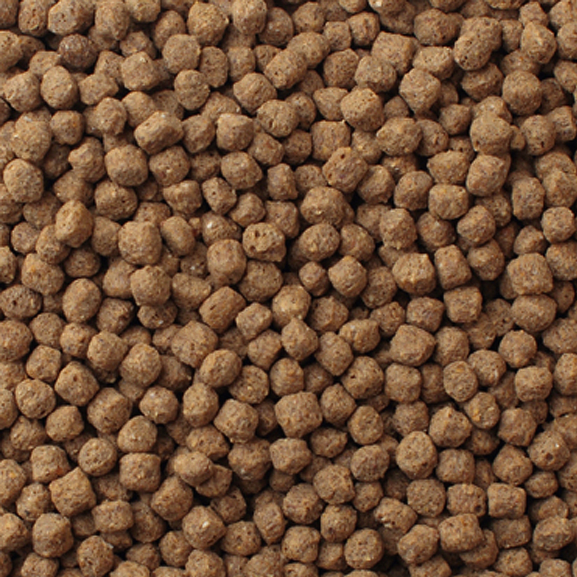 Koi Platinum Nuggets brown pellets