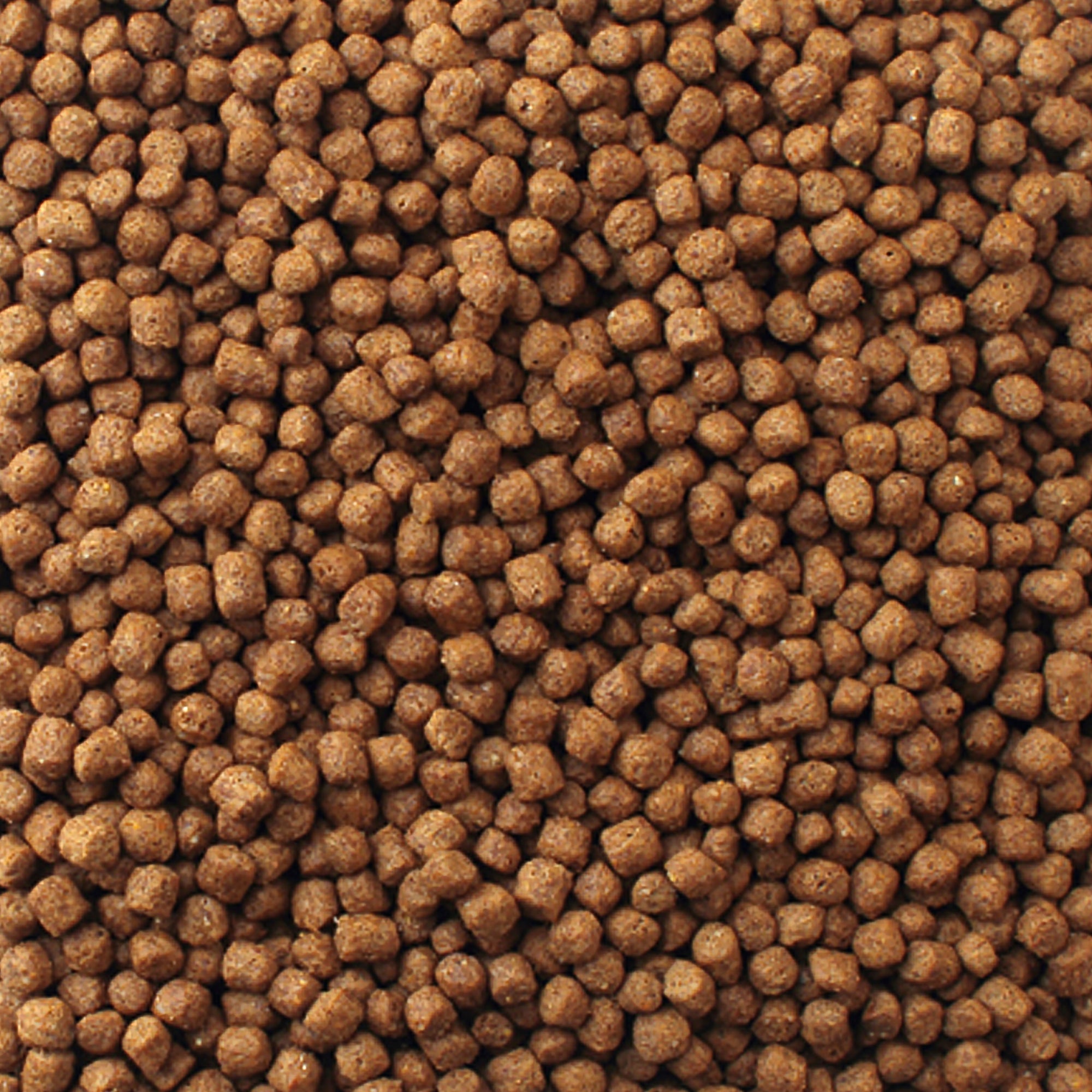 Aquatic Turtle Diet brown pellets