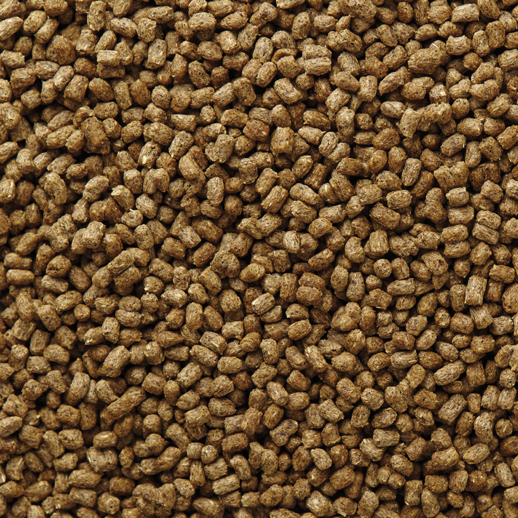 Herbivorous Reptile Pellets