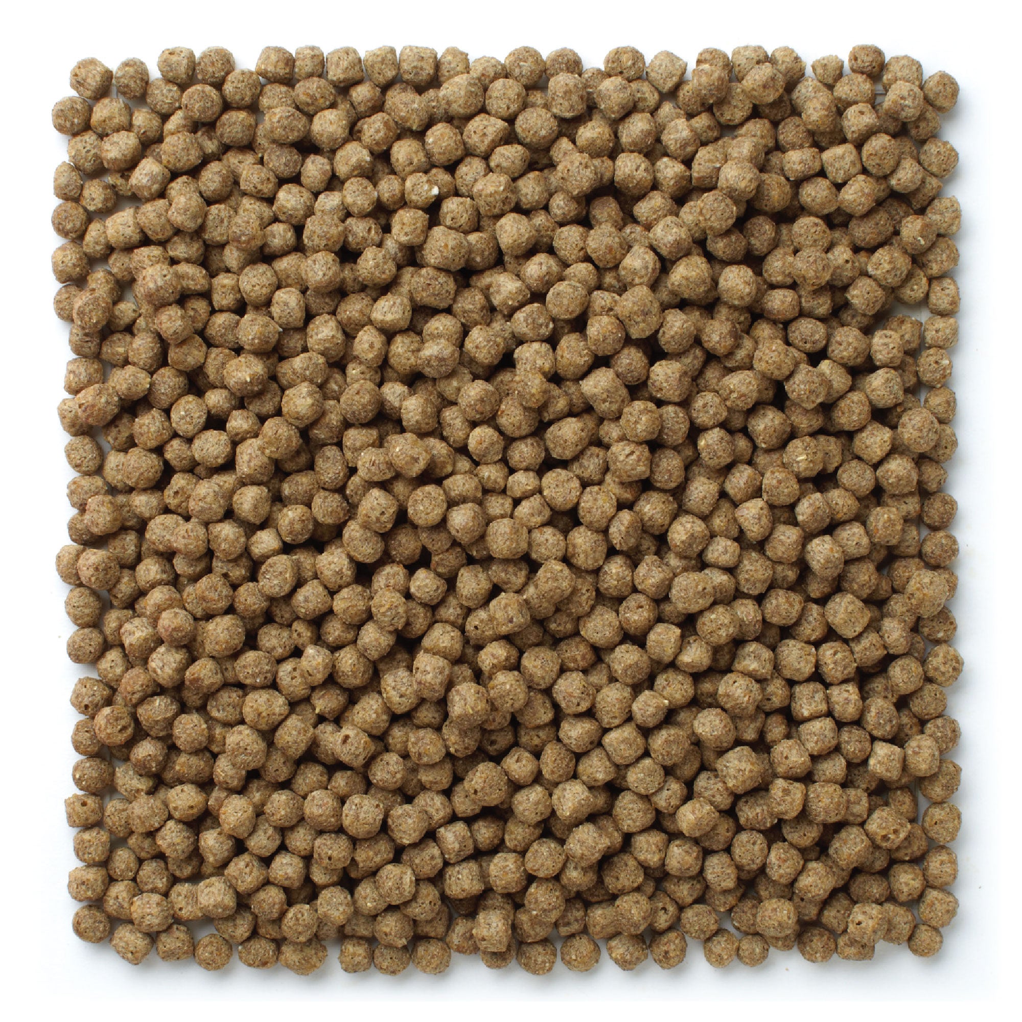 koi pond nuggets brown floating pellets
