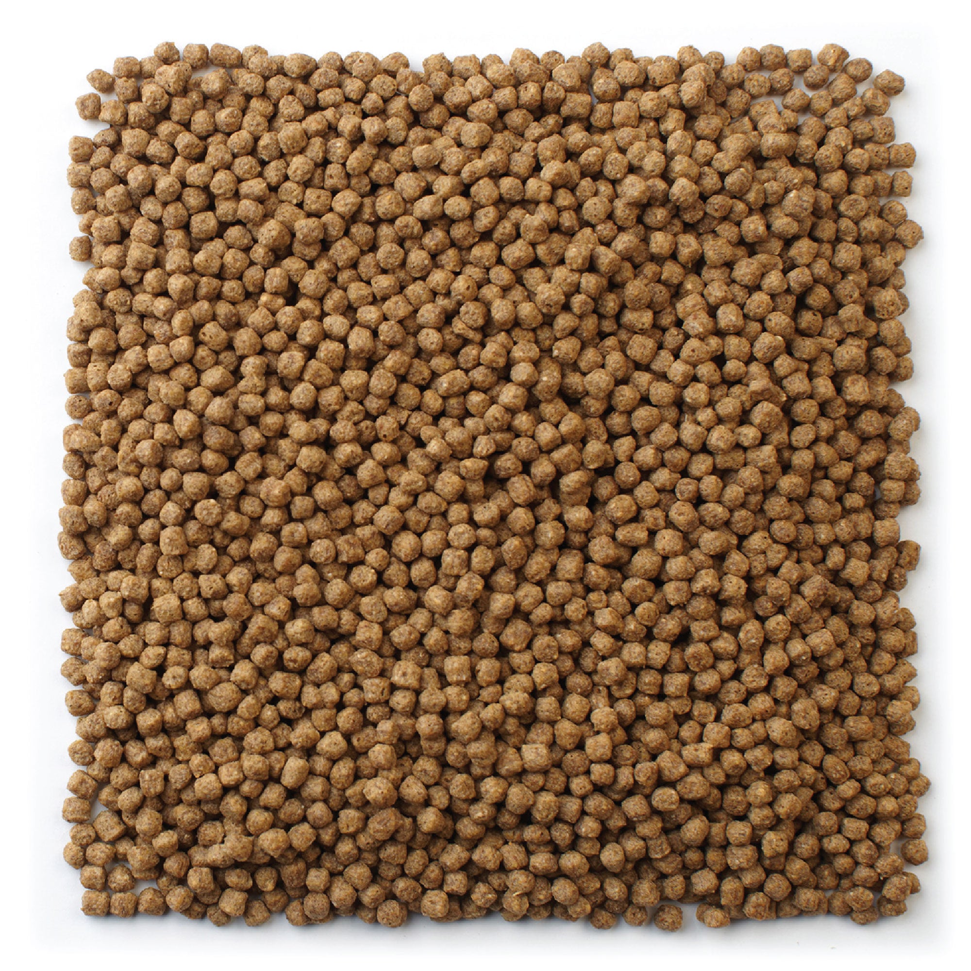 koi premium diet brown floating pellets