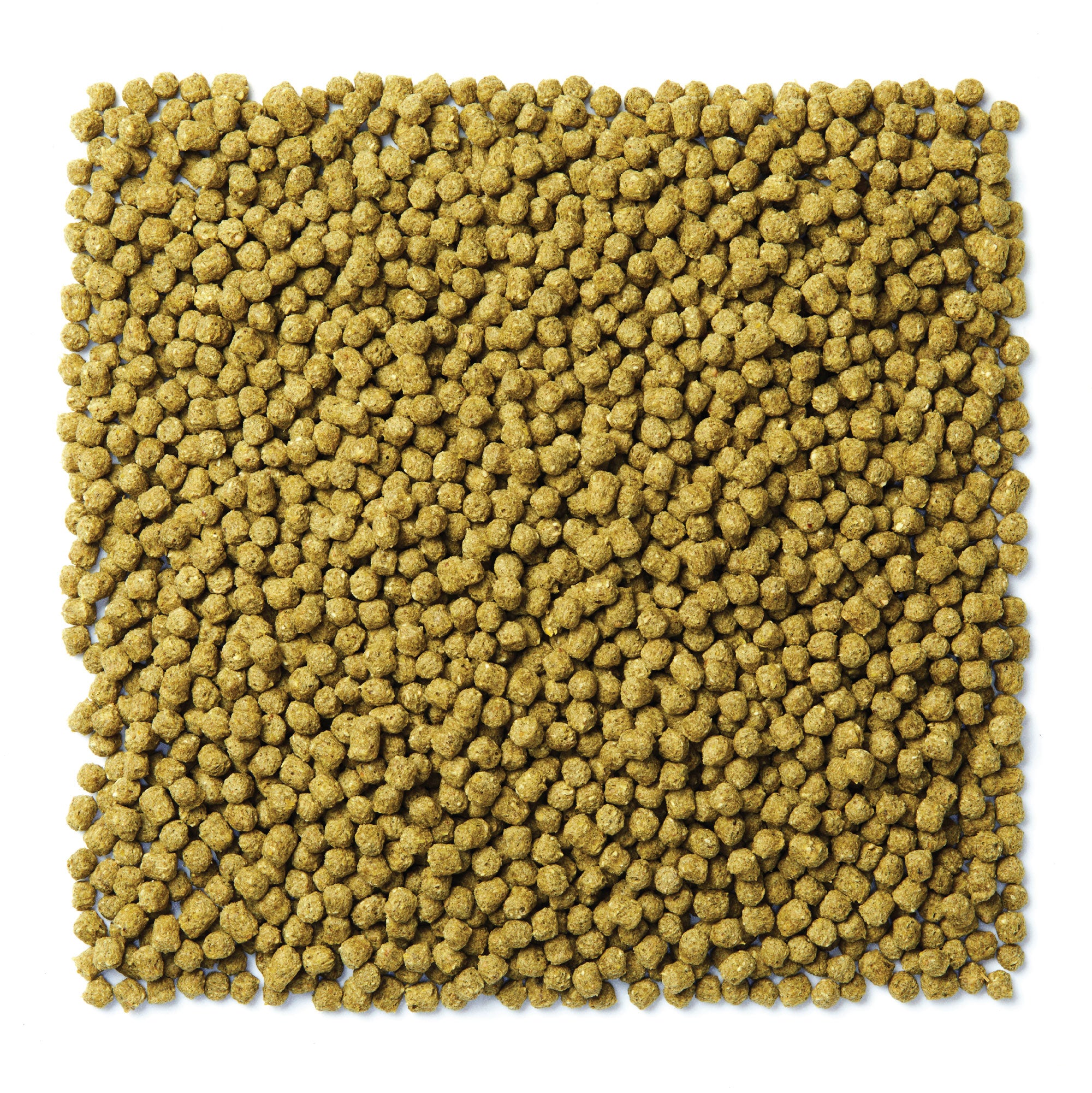 Mazuri NutriBlend Pigeon Green pellets that are brown and round