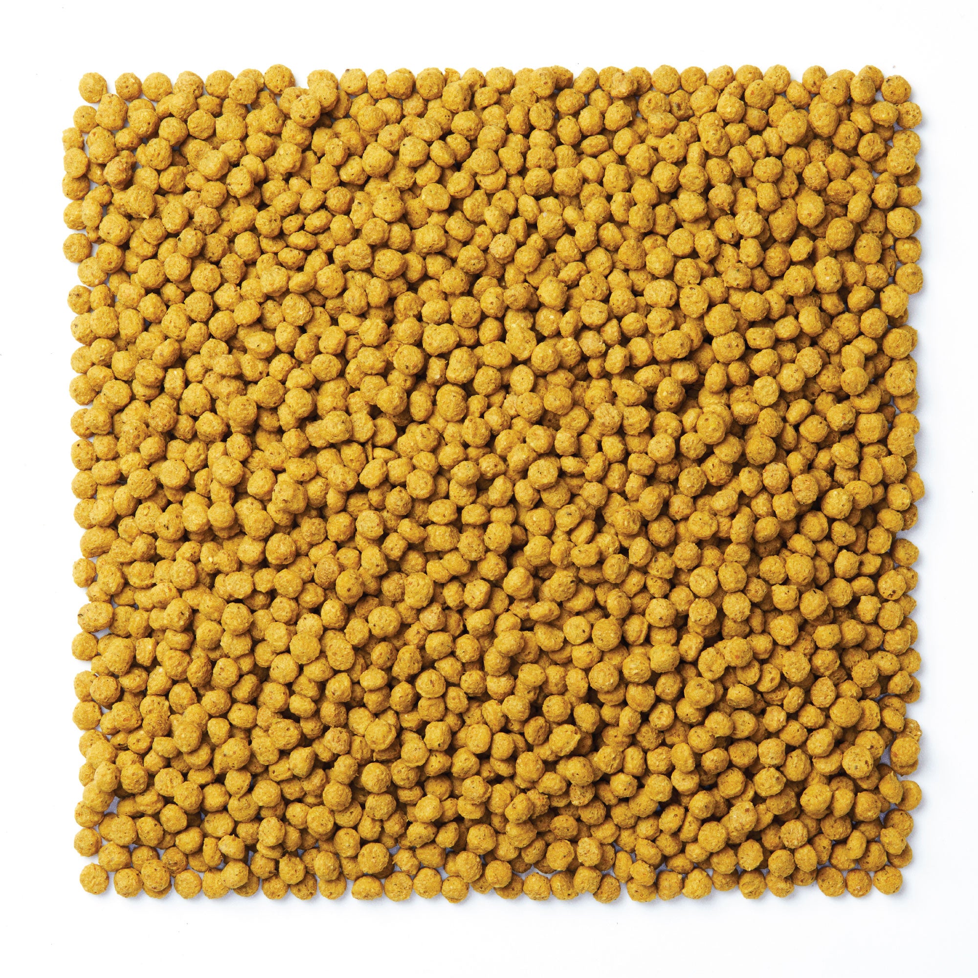 Mazuri NutriBlend Pigeon Gold round brown pellets