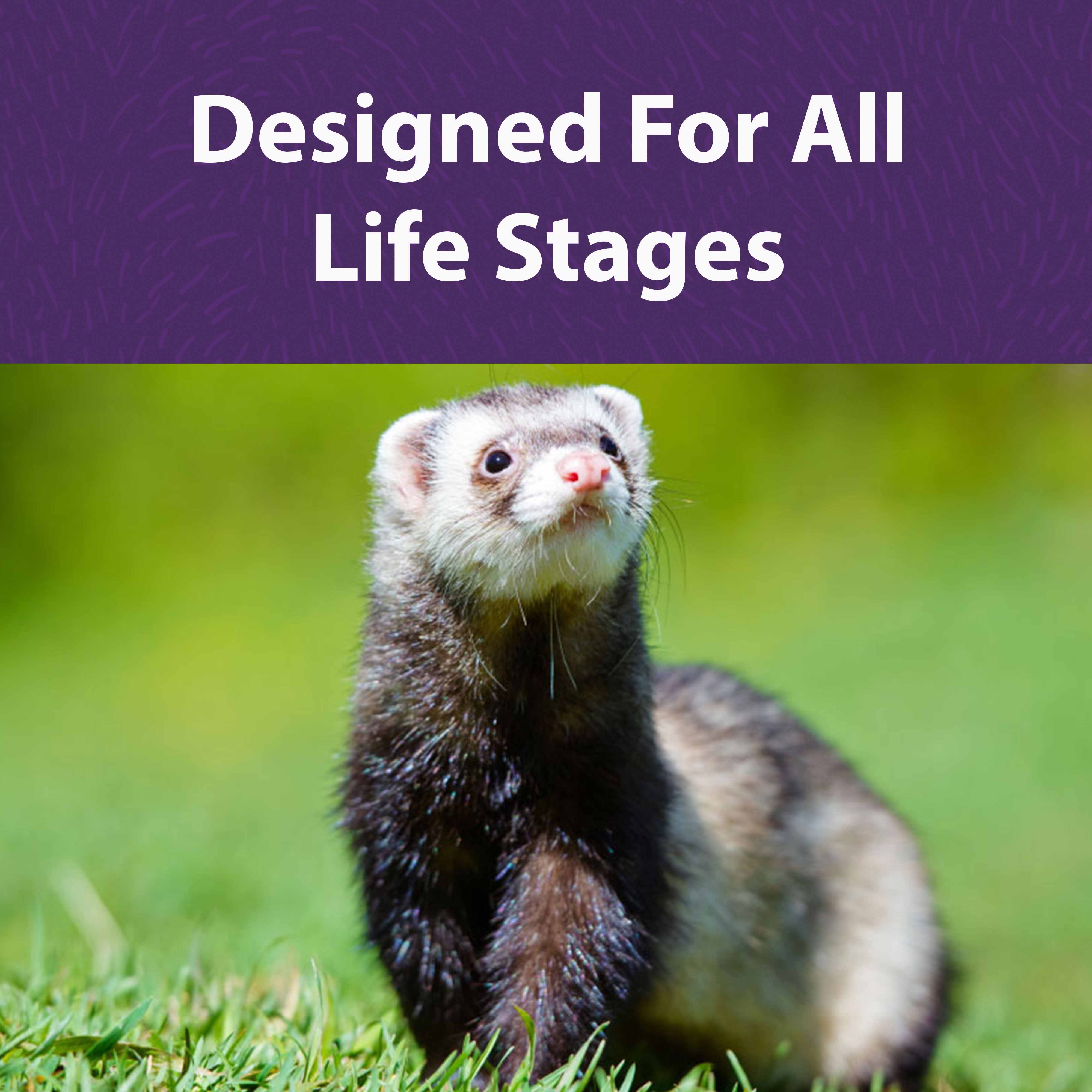 Designed For All Life Stages
