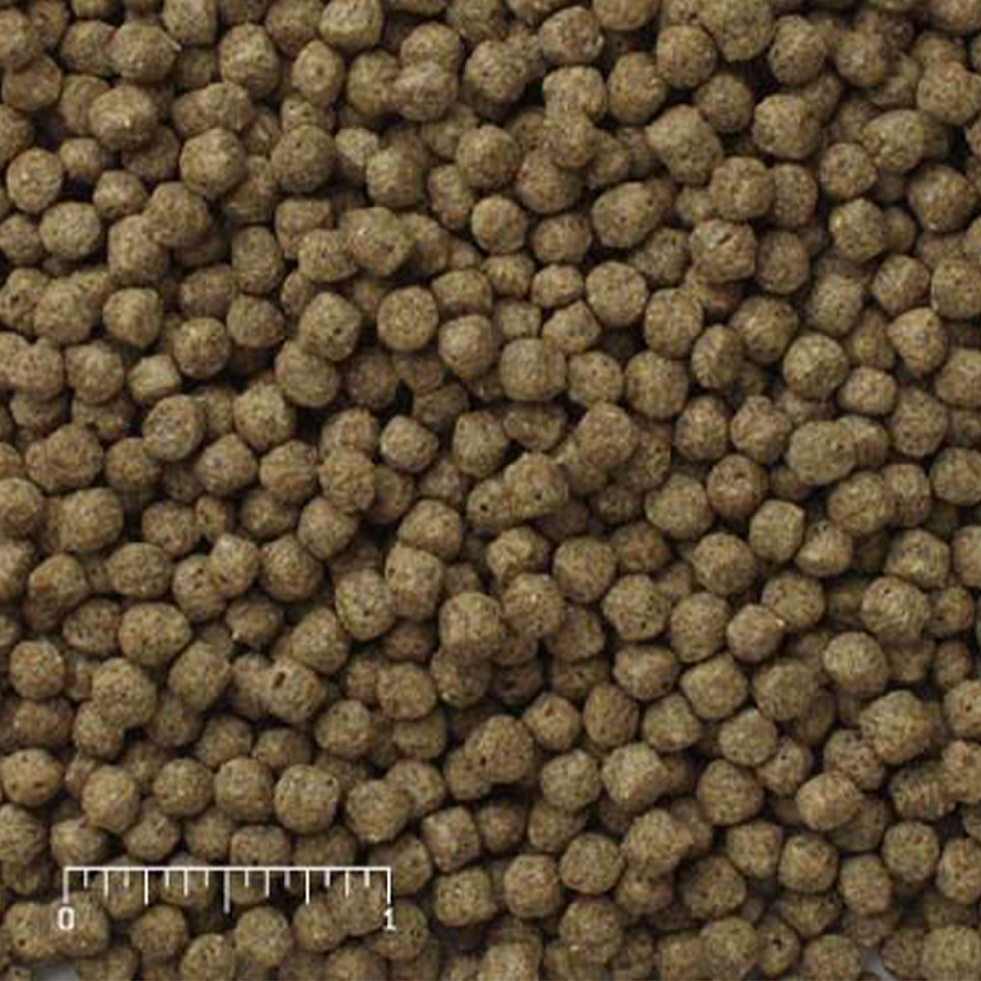 Mazuri Koi Pong Nuggets brown pellets