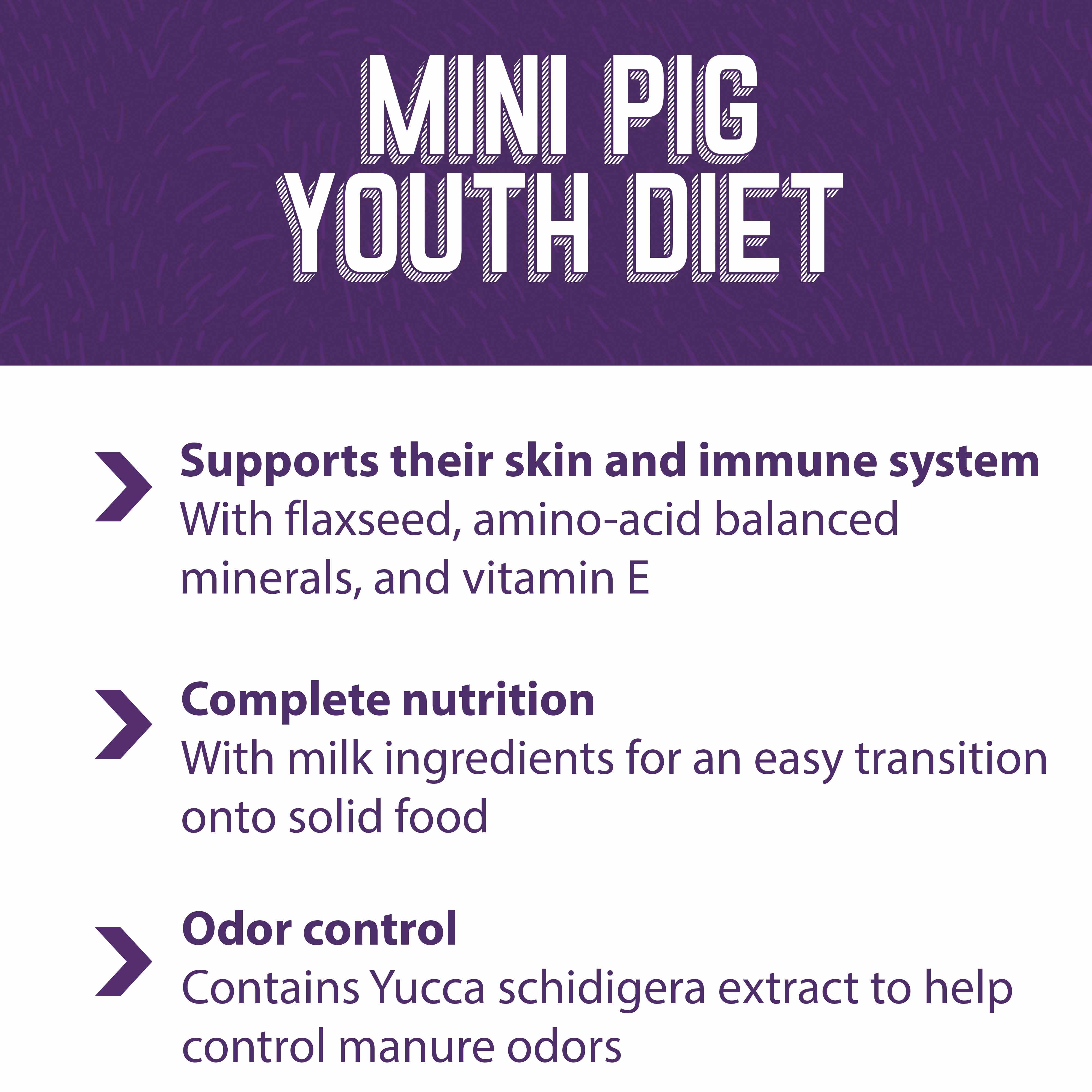 Mini Pig Youth Diet supports their skin and immune system