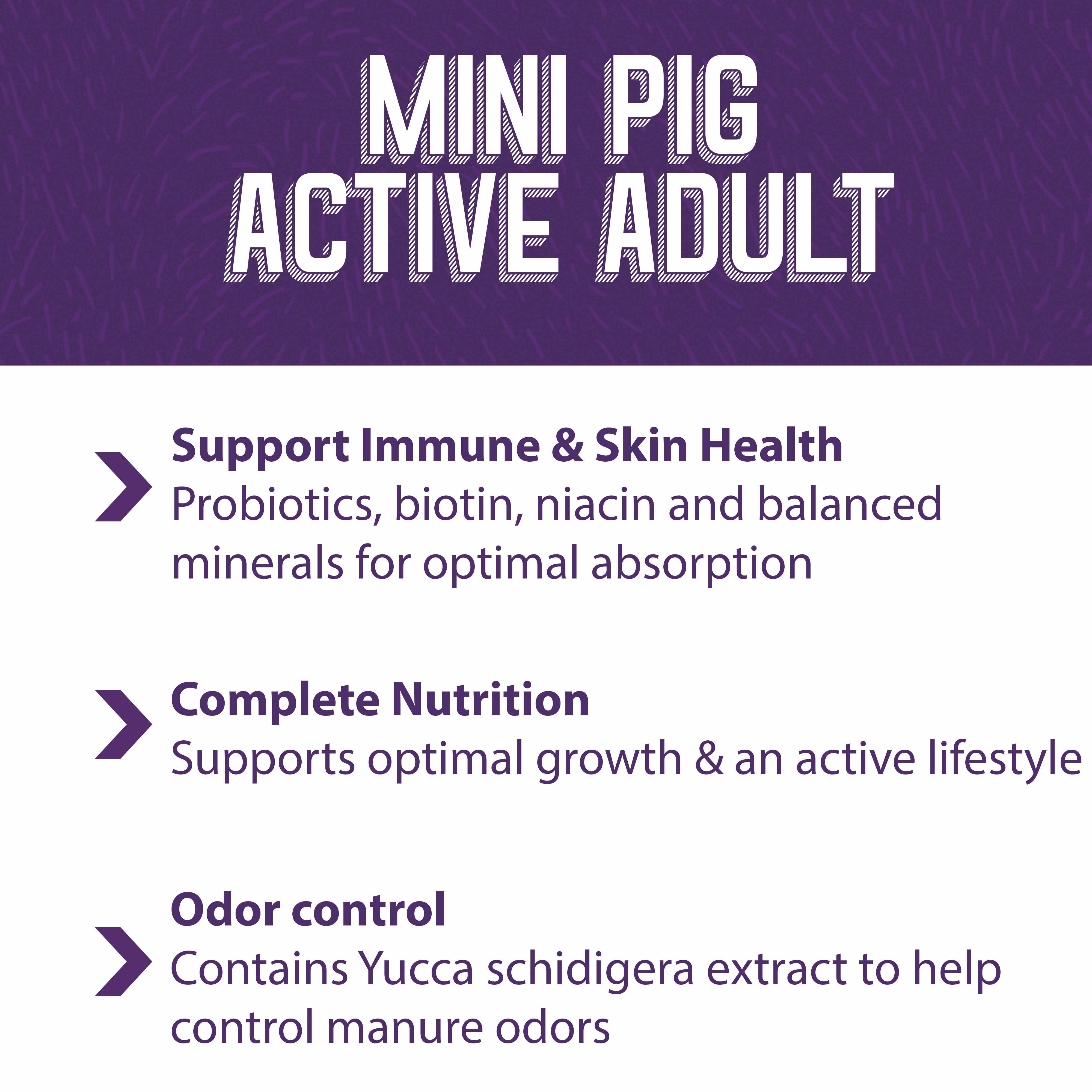 Mini Pig Active Adult supports immune & skin health