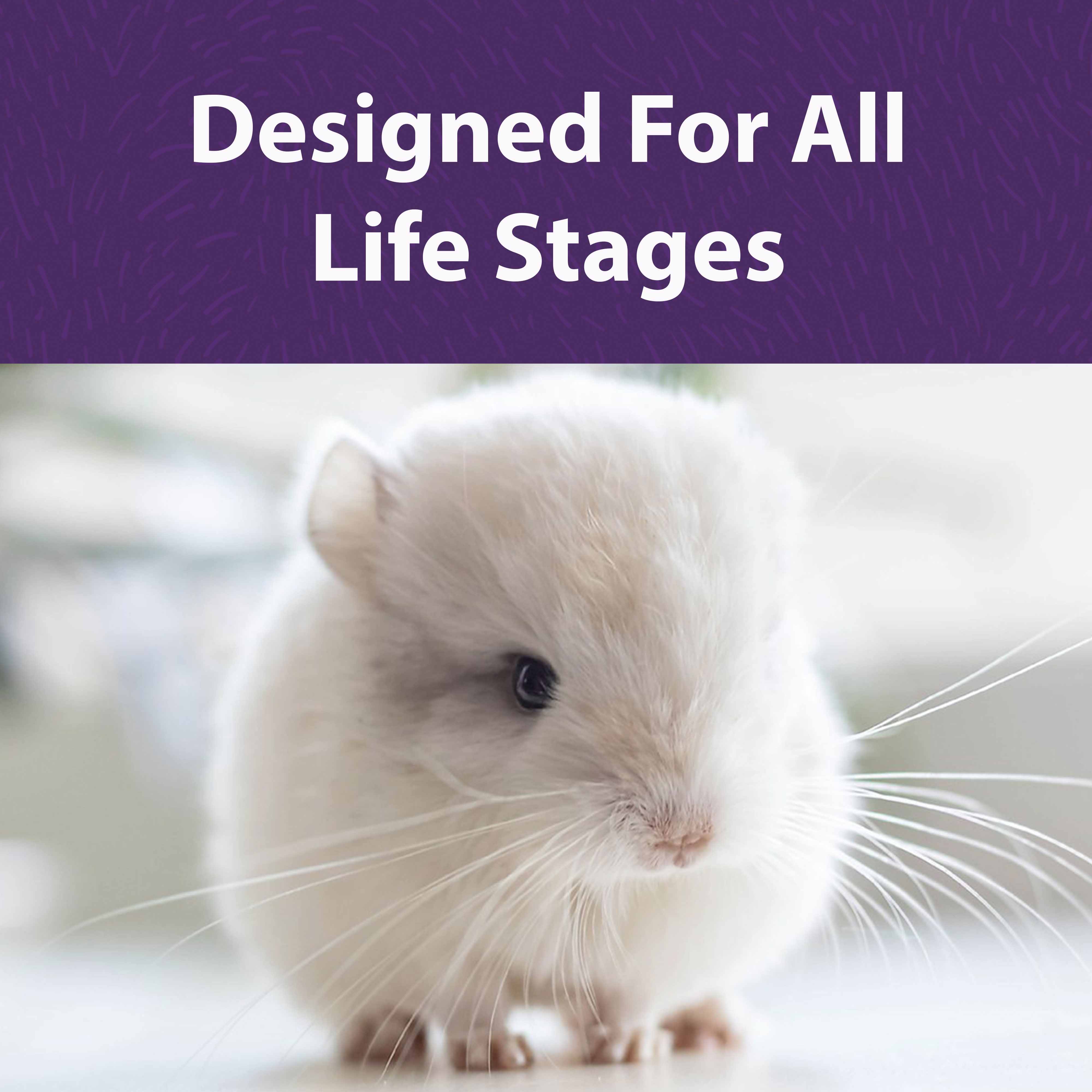 Designed for all life stages