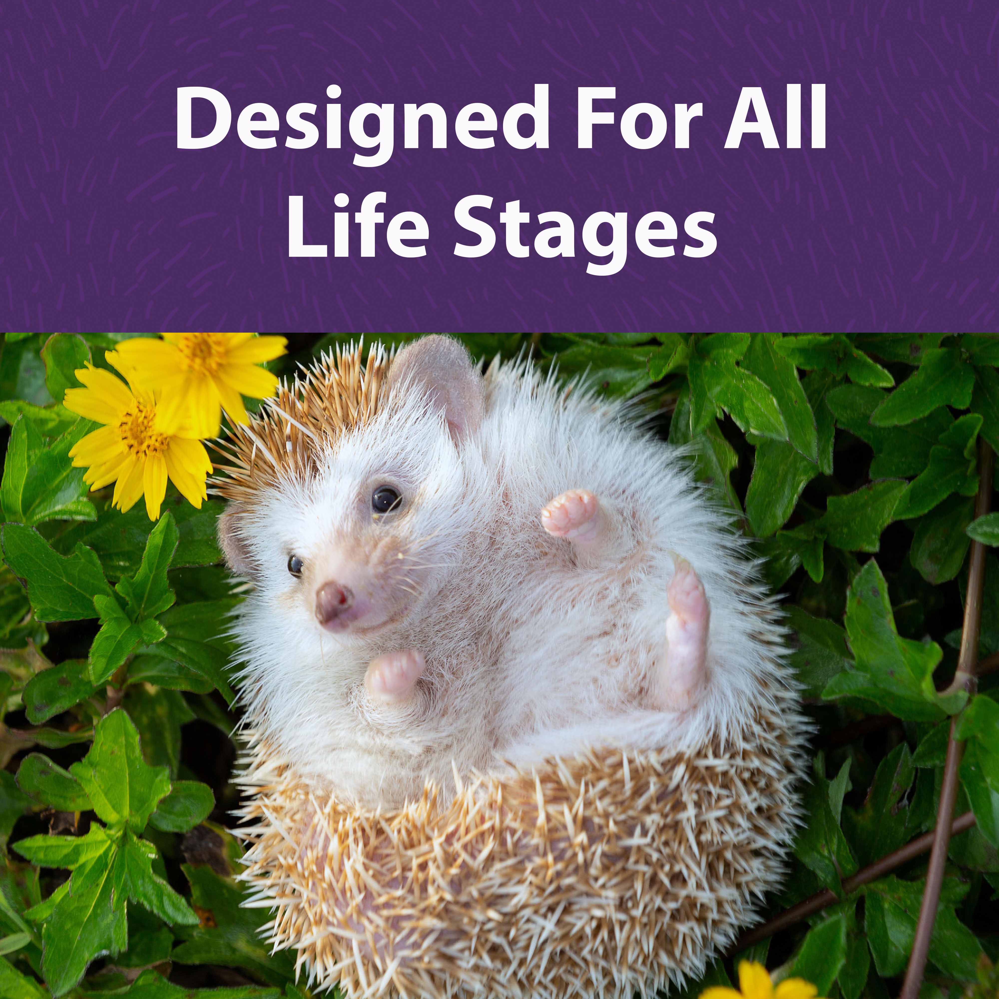 Designed for all life stages
