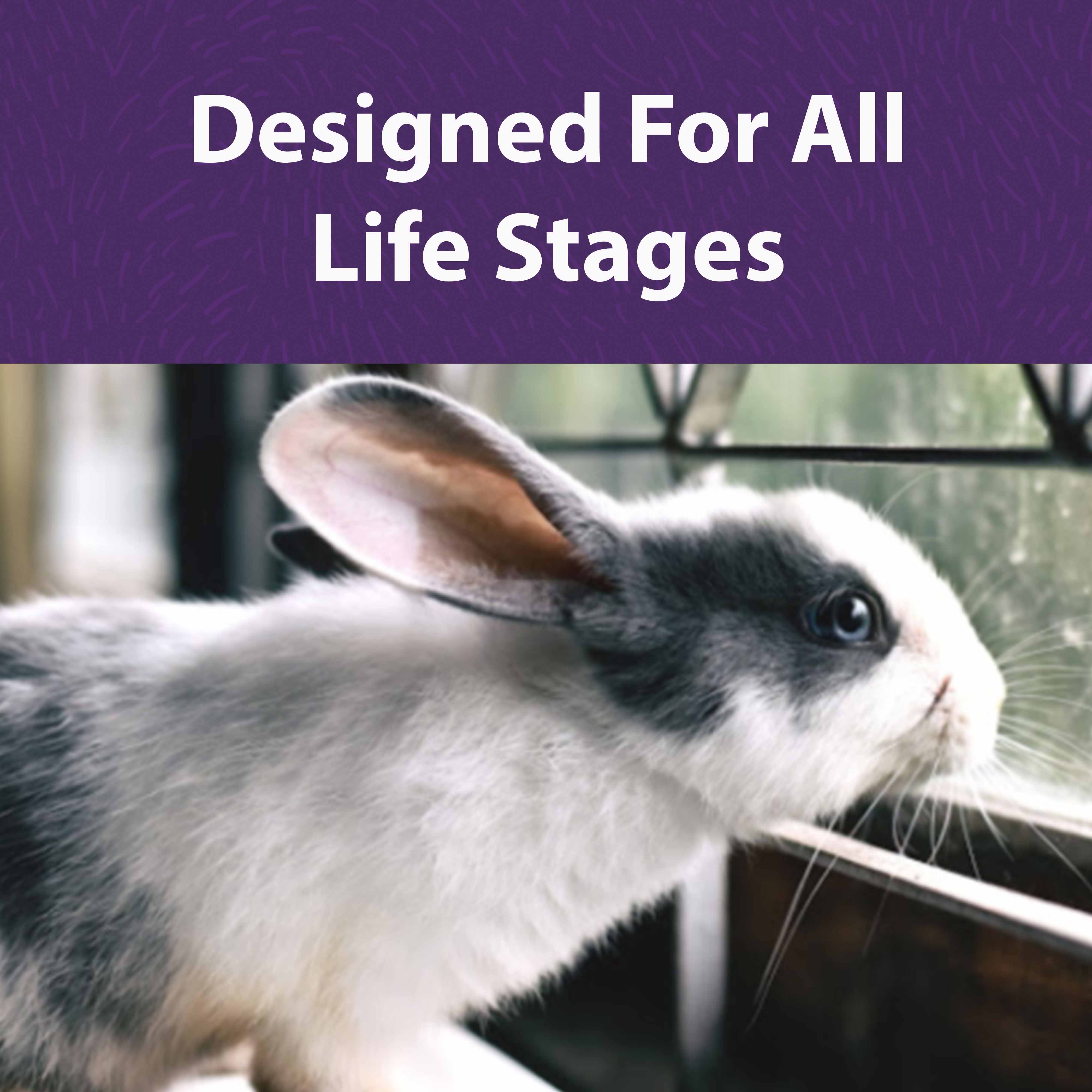 Designed for all life stages