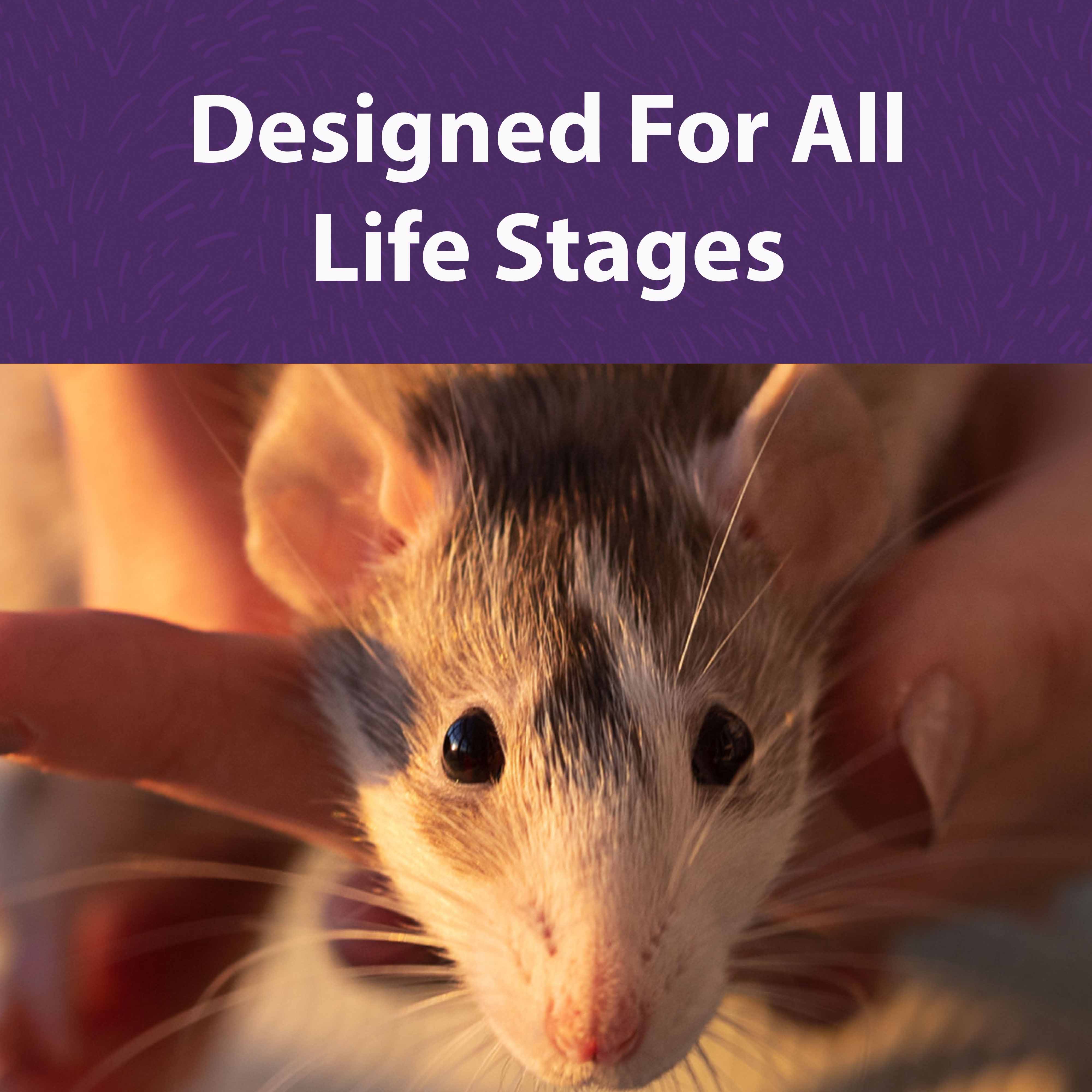 Designed for all life stages