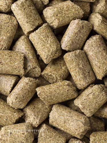 Mazuri® Zebra Pellets