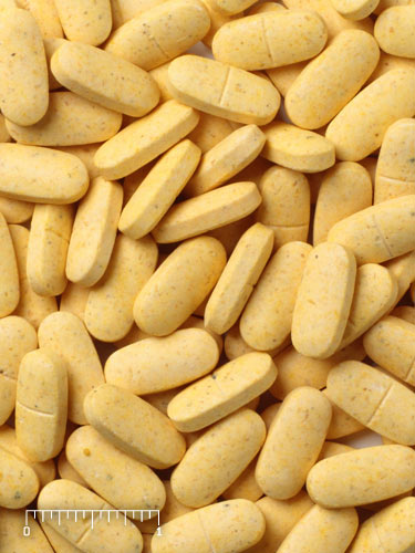Mazuri® Marine Mammal Supplement