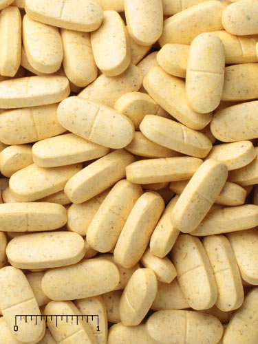 Mazuri® Marine Mammal Supplement with Vitamin C