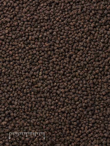 Mazuri® LS Aquatic Carni-Blend Diets