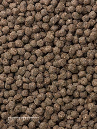 Mazuri® LS Aquatic Carni-Blend Diets