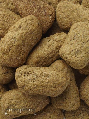 Mazuri® Primate Growth & Repro Biscuit