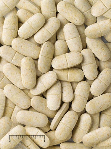 Mazuri® Shark & Ray Supplement 1.5 g