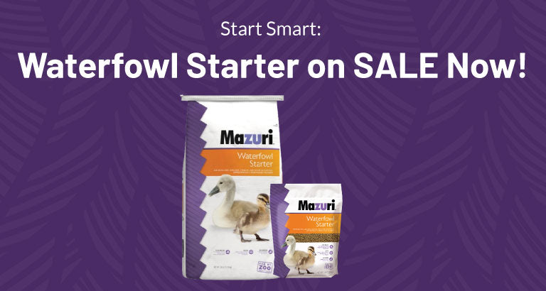 Waterfowl Starter On Sale Now Banner with Mazuri Waterfowl bags