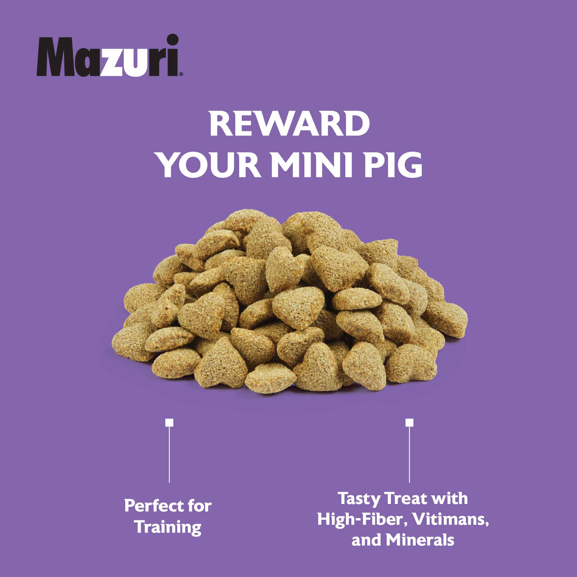 Reward Your Mini Pig