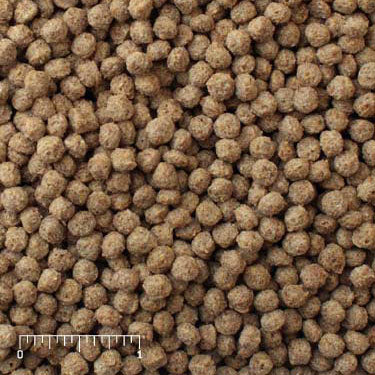 Gamebird Maintenance brown pellets