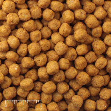 Parrot Breeder brown pellets