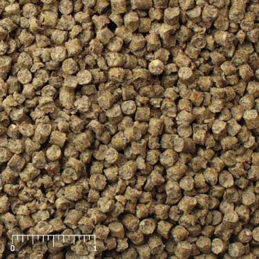Ratite Starter brown pellets