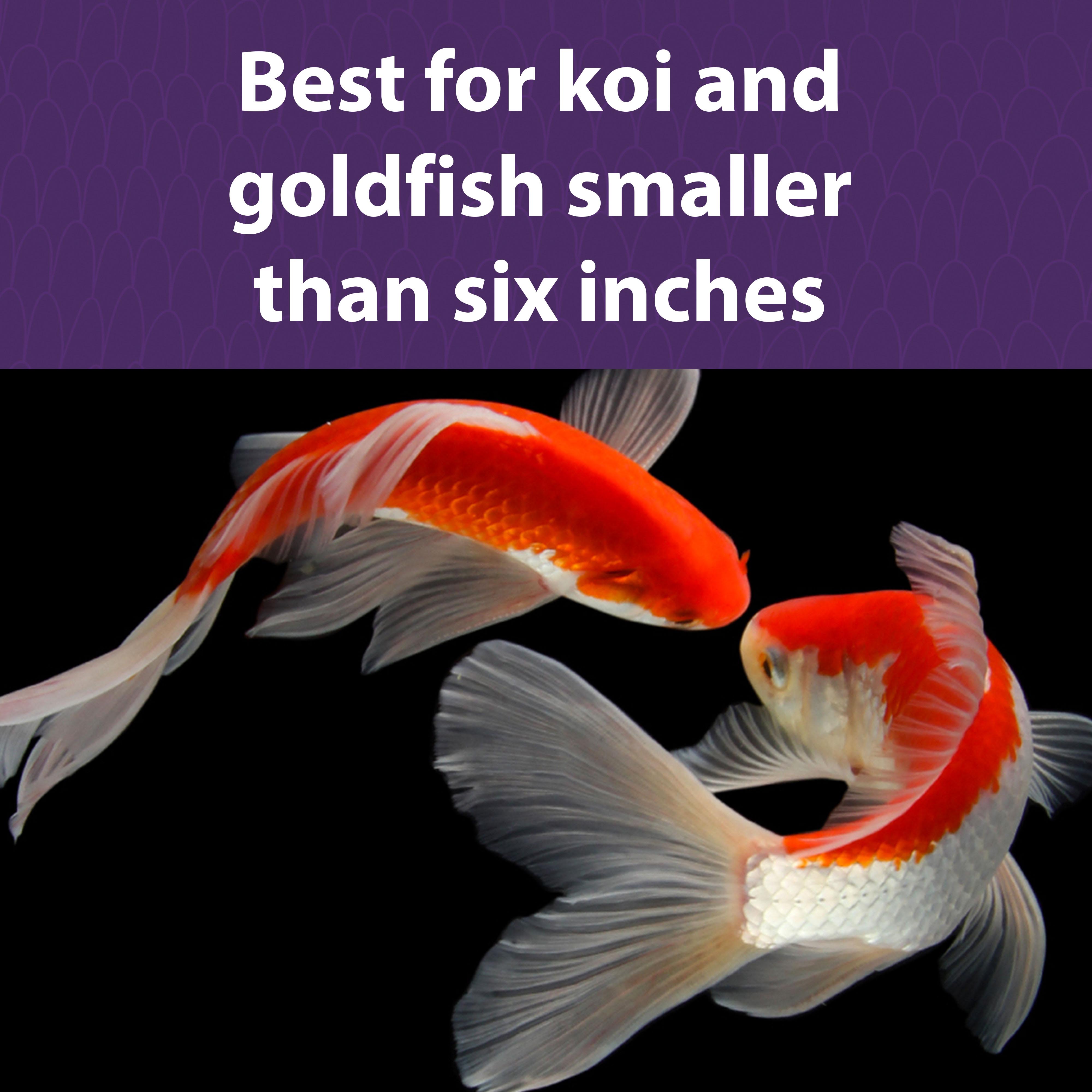 Best for Koi and goldfish smaller than 6 inches