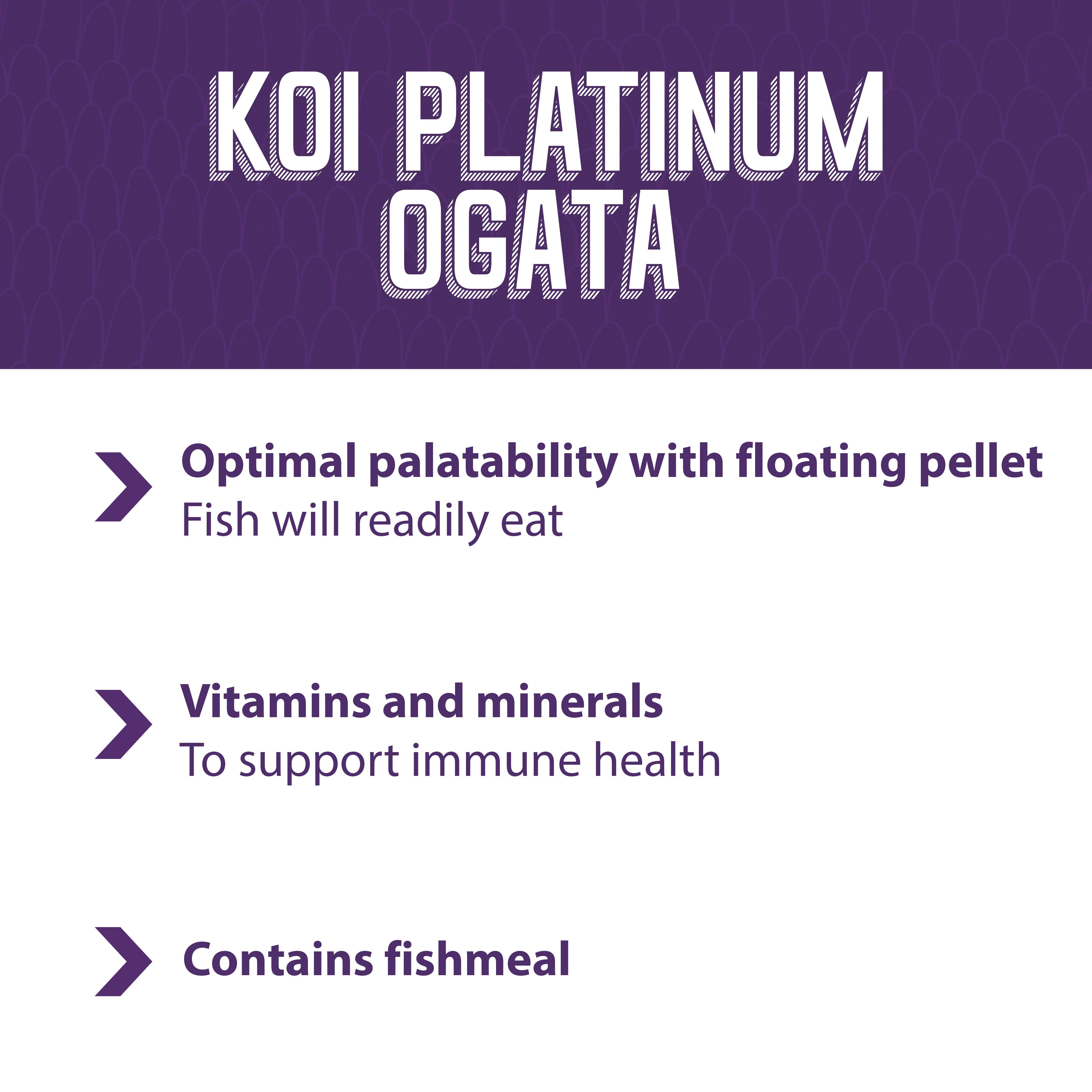 Koi Platinum Ogata contains fishmeal