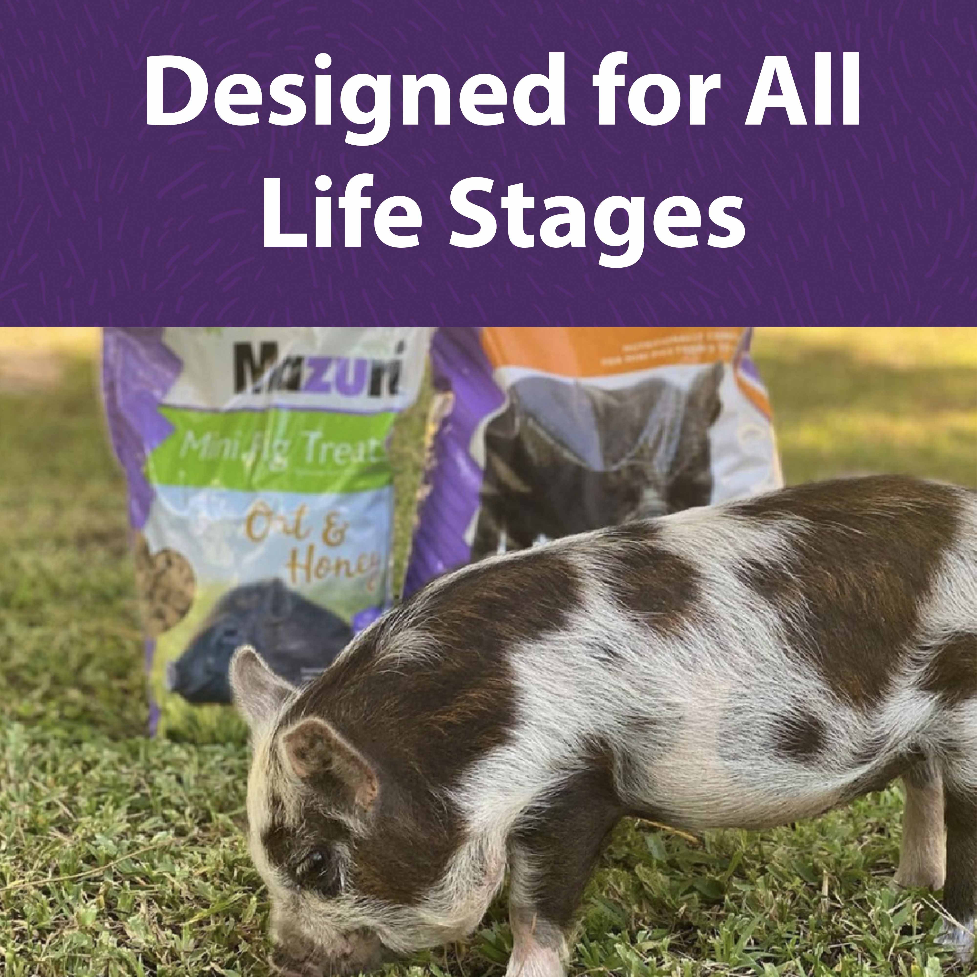 Mini Pig treats are designed for all life stages