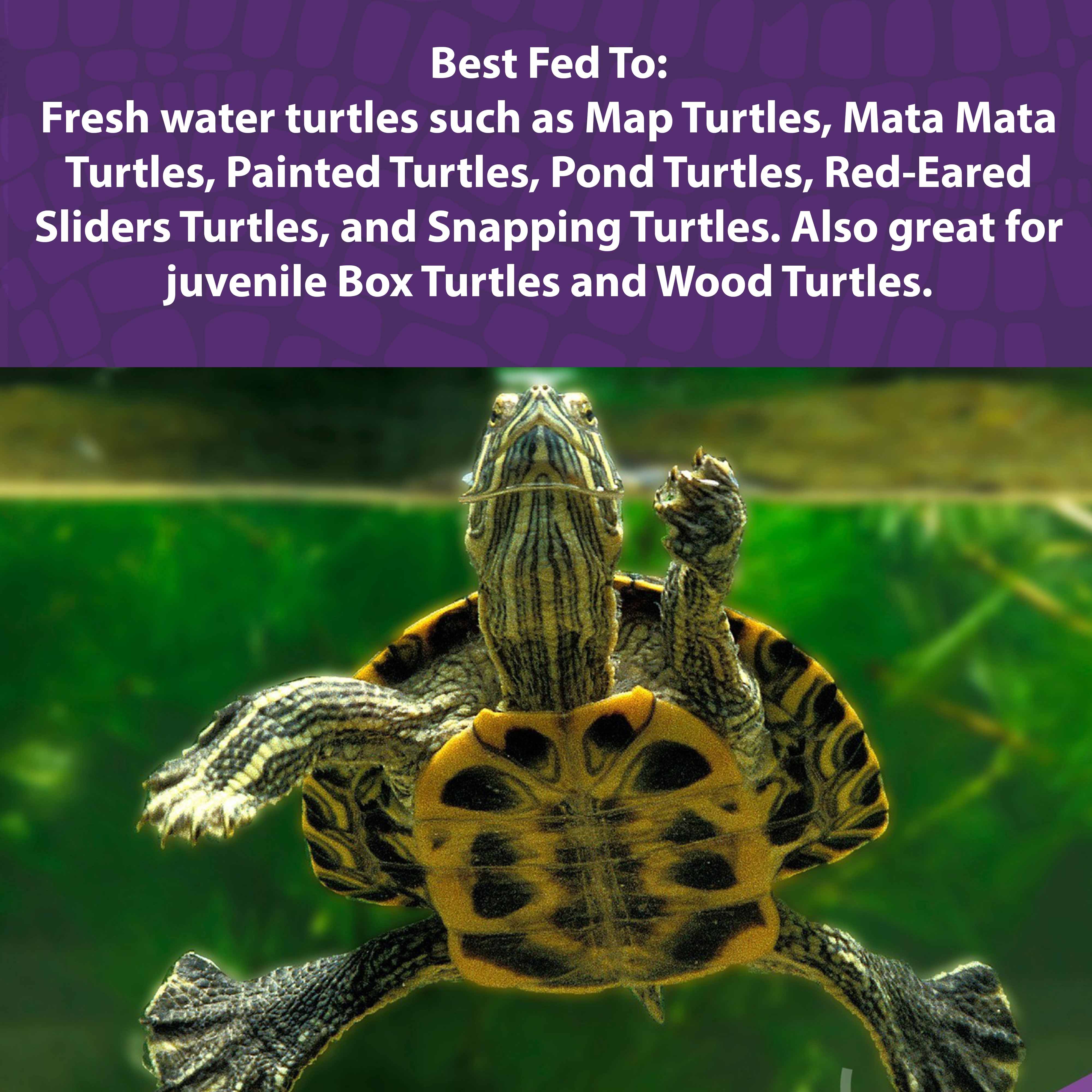 Mazuri® Aquatic Turtle Diet | Turtle Food for Freshwater Turtles