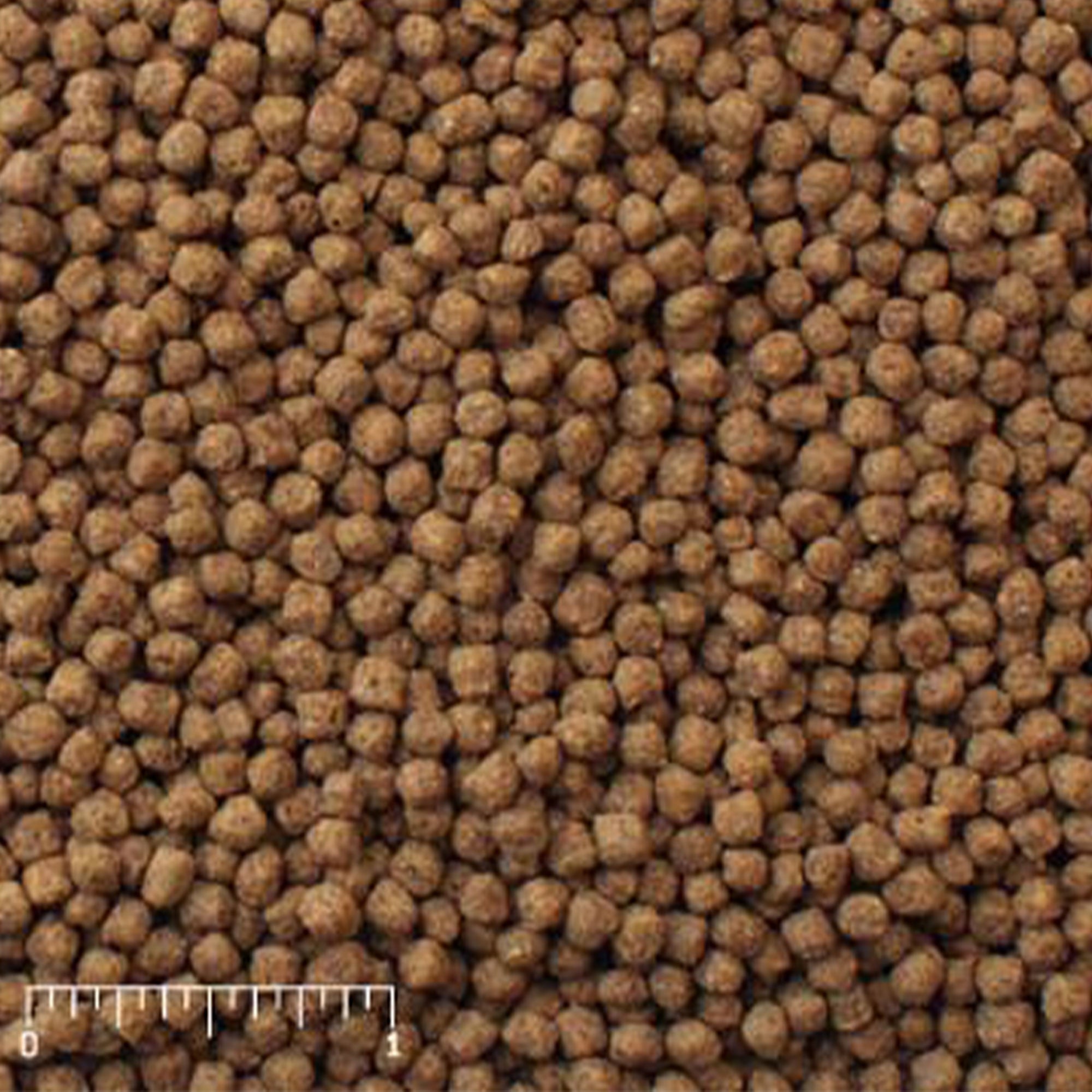 Mazuri Koi Platinum Bits brown pellets